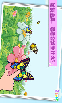 蝴蝶 昆虫世界游戏截图2