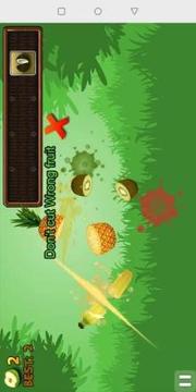 Hattori Ninja Fruit Cutting游戏截图1