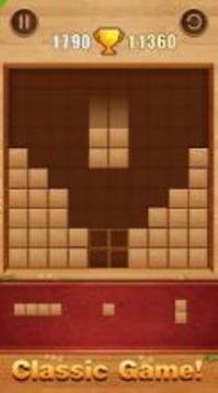 Puzzle Game Classic Brick游戏截图1