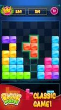 Block puzzle Classic: Puzzle game 2019游戏截图4