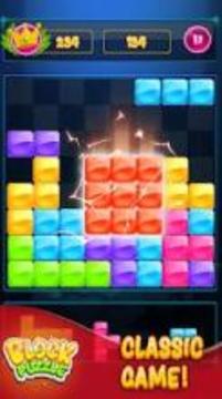 Block puzzle Classic: Puzzle game 2019游戏截图3