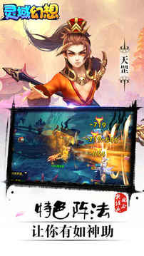灵域幻想游戏截图3