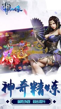 神仙缘游戏截图4