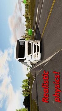 重型欧洲卡车模拟游戏截图1