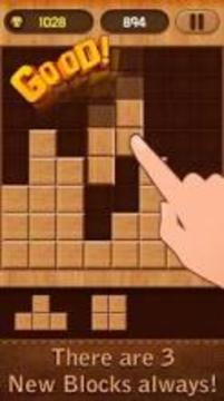 Wood Block Puzzle Play游戏截图5