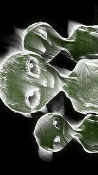 Ring Lord Shadow ghost Camera游戏截图1