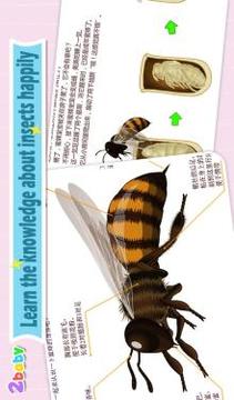 Bee  Insect World游戏截图2