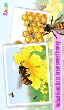 Bee  Insect World游戏截图5