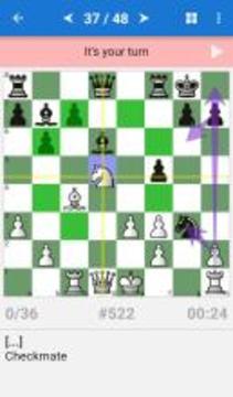 Chess Tactics Art (1400-1600)游戏截图2