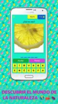 * 250+ GUESS FRUITS AND VEGETABLES ON SPANISH游戏截图4