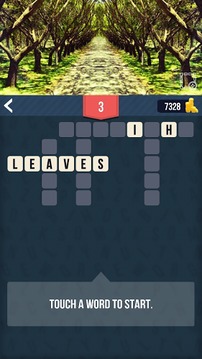 1 Clue Picture x Crossword游戏截图2