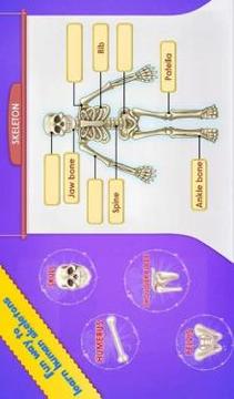 Human Body Parts - Preschool Kids Learning游戏截图4