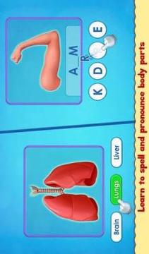 Human Body Parts - Preschool Kids Learning游戏截图3