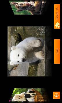 Baby Animals Jigsaw Puzzles游戏截图1