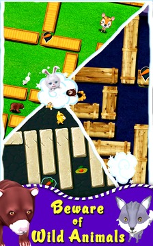Unblock Zoo游戏截图3