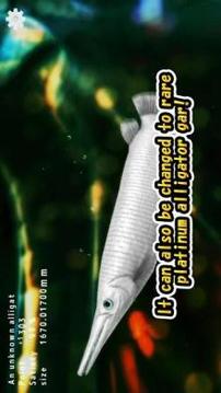 Alligator Gar raising from fry游戏截图2