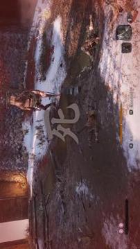 Sekiro Shadows Die Twice  Beta游戏截图4