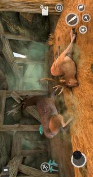 Deer Games 2019  Animal Shooting Games游戏截图1