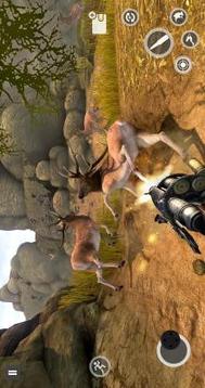 Deer Games 2019  Animal Shooting Games游戏截图5