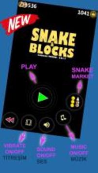 New Snake Blocks LT游戏截图1