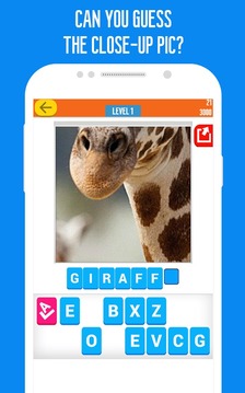 Zoomed - Picture Word Game游戏截图1