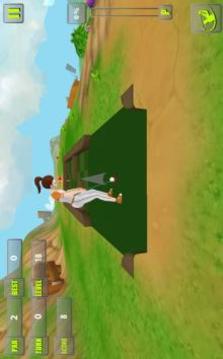 Mini Golf Professional Game游戏截图2