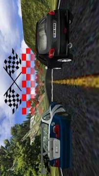 206 Driving Simulator游戏截图5