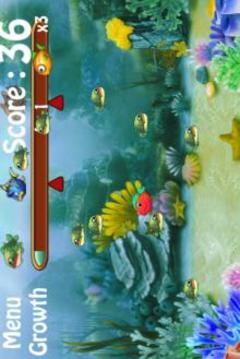 Big Fish Eat Fish Frenzy游戏截图1