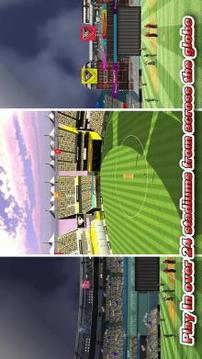 Cricket Career游戏截图2