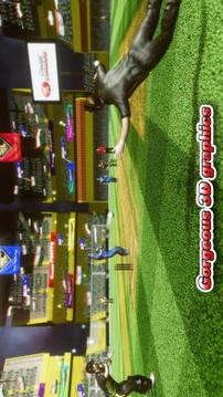 Cricket Career游戏截图4