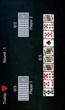 Cards 325游戏截图5