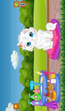 Pet Cat Animal Games游戏截图1