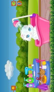 Pet Cat Animal Games游戏截图3