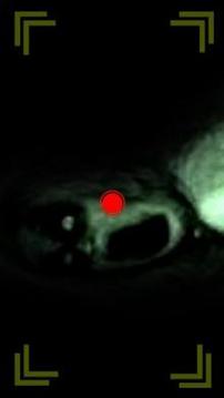 Ghost Camera - Ghost Hunters游戏截图3