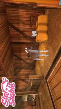 Star Stable Horses游戏截图2