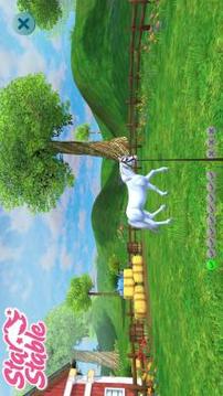 Star Stable Horses游戏截图5