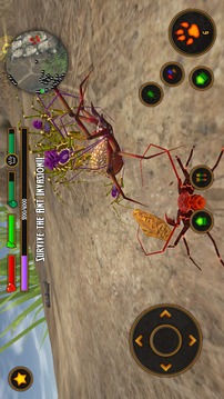 Life of Phrynus - Whip Spider游戏截图5