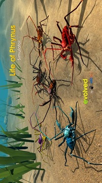 Life of Phrynus - Whip Spider游戏截图1