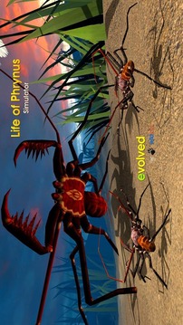 Life of Phrynus - Whip Spider游戏截图2