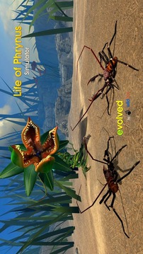 Life of Phrynus - Whip Spider游戏截图3