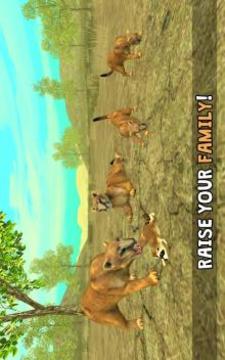 Wild Cougar Sim 3D游戏截图4