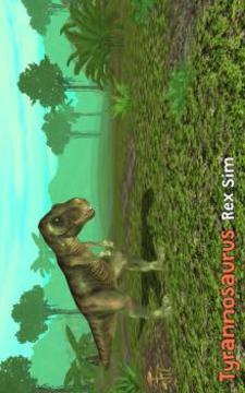 Tyrannosaurus Rex Sim 3D游戏截图5