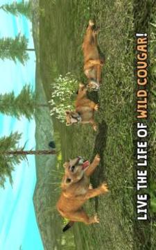 Wild Cougar Sim 3D游戏截图5