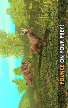 Wild Cougar Sim 3D游戏截图3