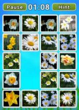 Flower Match Parade游戏截图1