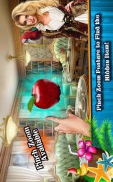 Hidden Object Games 400 Levels  Agent Hannah游戏截图3