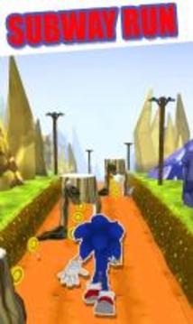 Subway Hedgehog Adventure Dash Runner jump Game游戏截图2