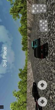 3d Racing extreme游戏截图1