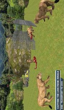 Animal Zoo Wonder World Buider & Construction游戏截图5