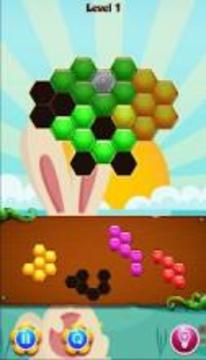 Bunny Hexa Puzzle Story游戏截图2